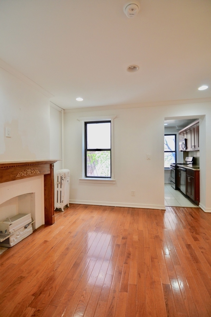 386 Lafayette Avenue - Photo 1