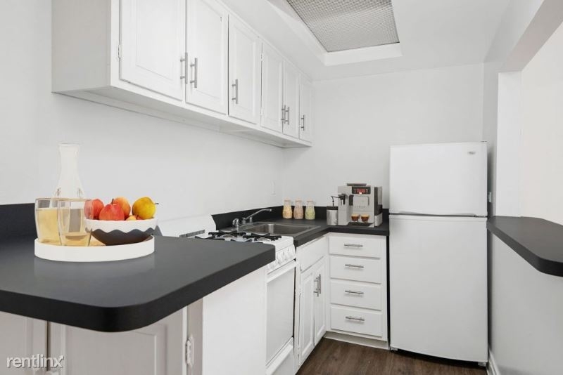 446 W. Diversey 4402b - Photo 12