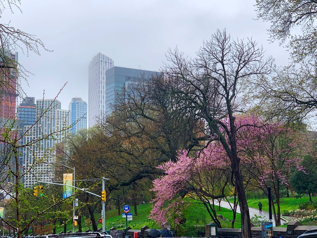 Cumberland Street/Fort Greene Park - Photo 10