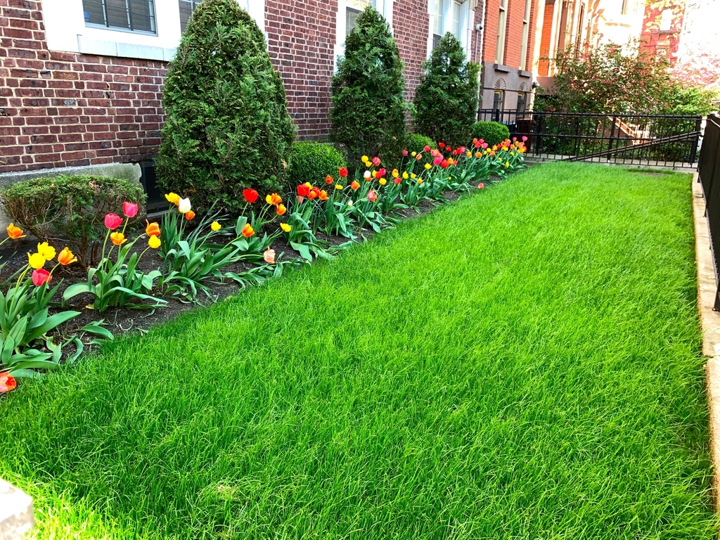 Cumberland Street/Fort Greene Park - Photo 8