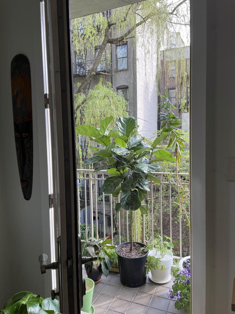 528 East 6th Street - Photo 4