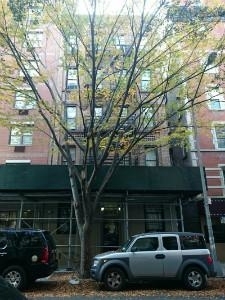 West 102nd Street - Photo 5