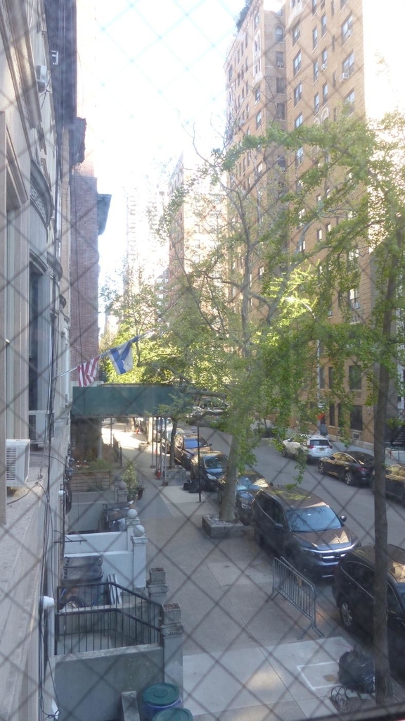 325 West 71st Street - Photo 8