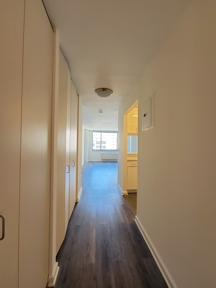 520 West 43rd Street - Photo 4