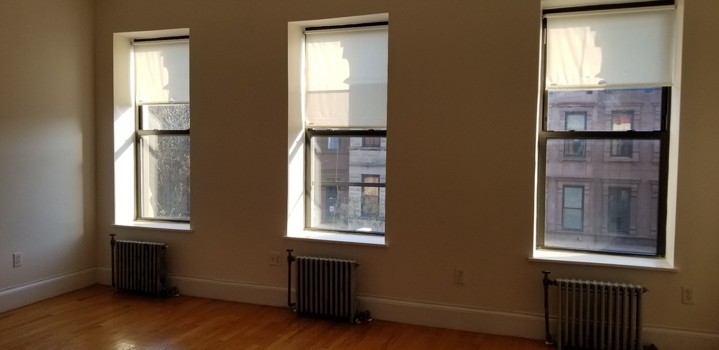 147 West 119th Street - Photo 11