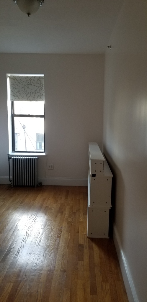 147 West 119th Street - Photo 3