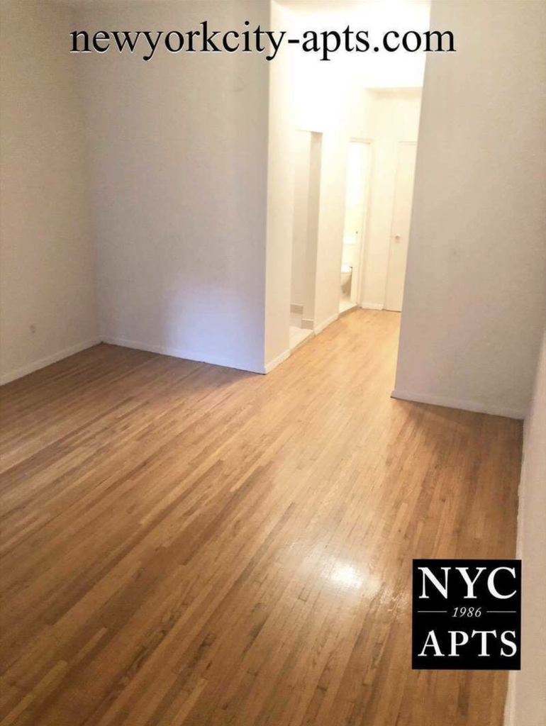 336 East 87th Street - Photo 2