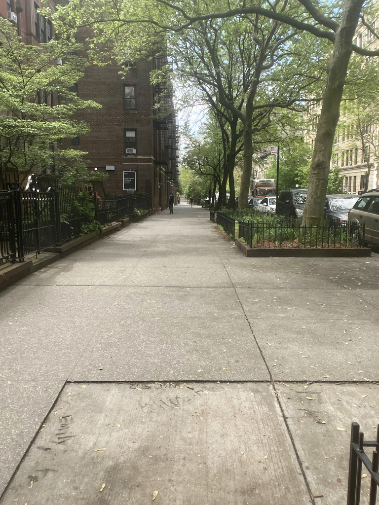 Hamilton Terrace & W. 144th St - Photo 10