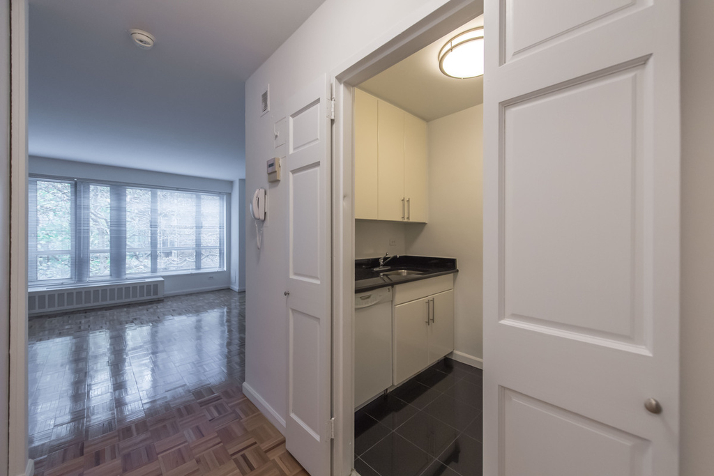 501 East 87th Street - Photo 6