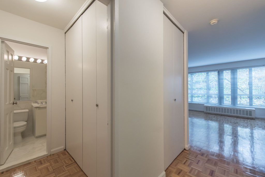 501 East 87th Street - Photo 4