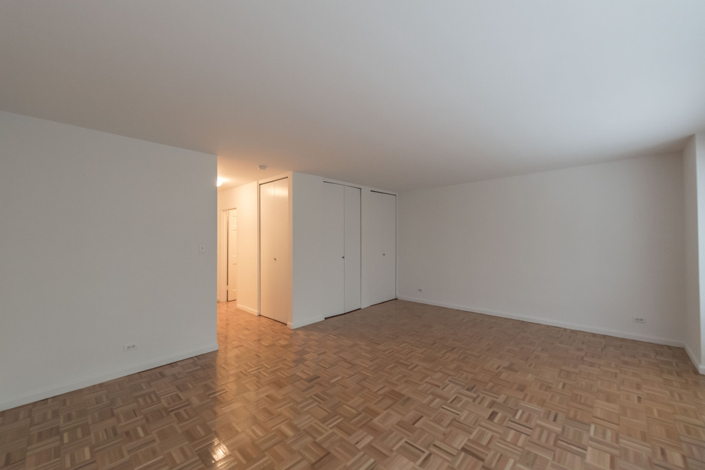 501 East 87th Street - Photo 3