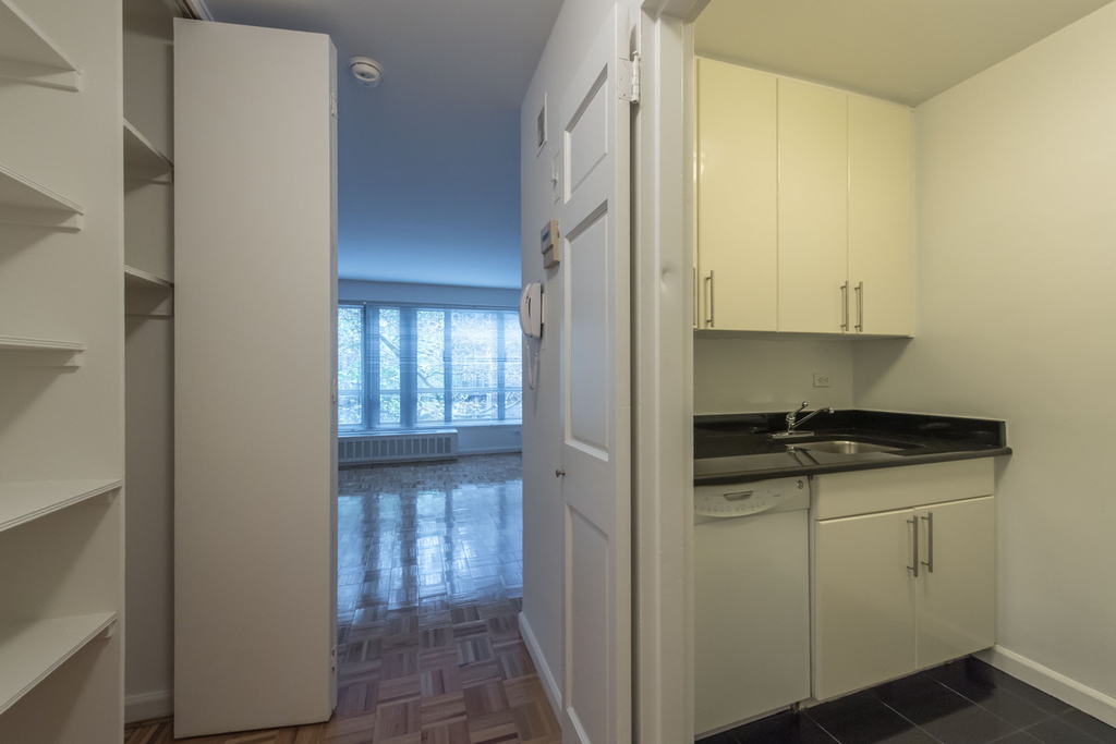 501 East 87th Street - Photo 5