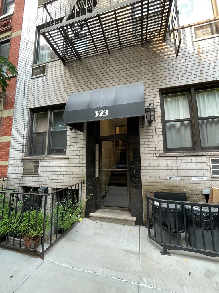 523 East 85th Street - Photo 4