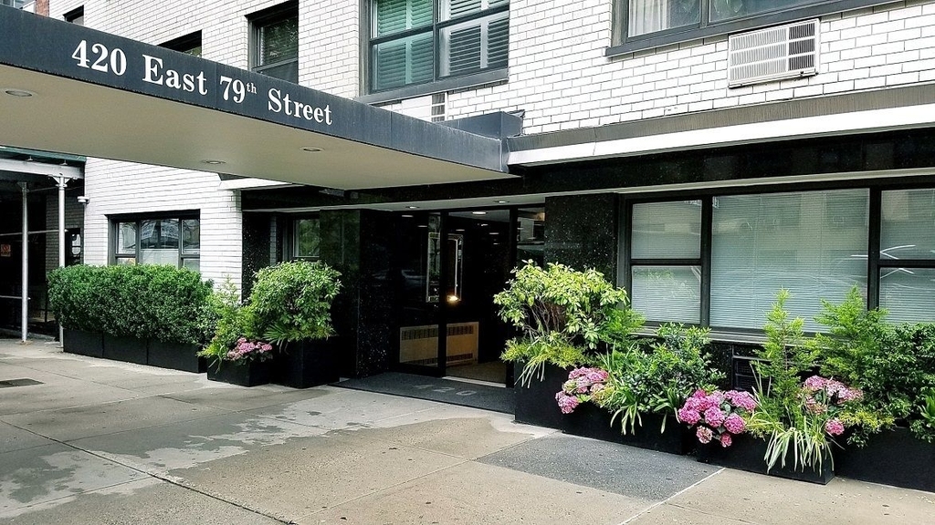 420 East 79th Street - Photo 8