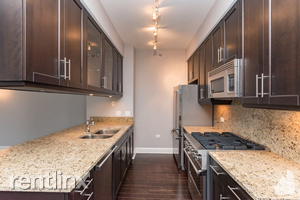 2 W Delaware Pl 1208 - Photo 2