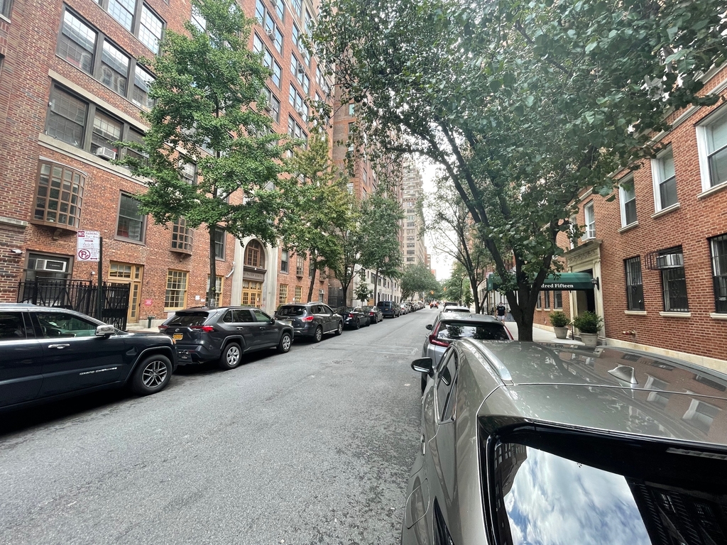 117 East 89th Street - Photo 8