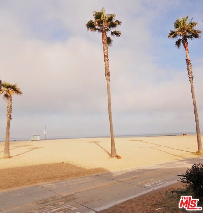 3005 Ocean Front Walk - Photo 19