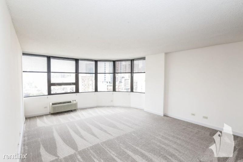 1212 S Michigan Ave # 2401 - Photo 4