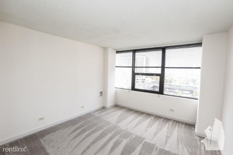 1212 S Michigan Ave # 2401 - Photo 5