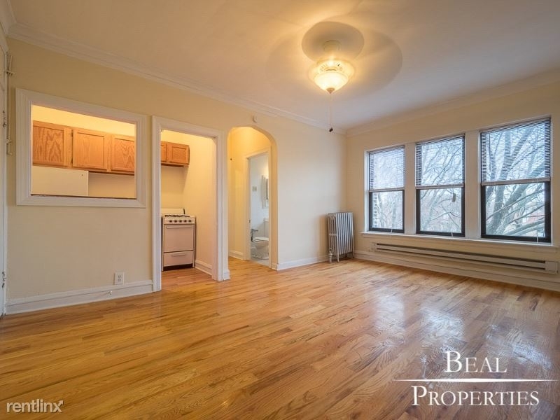 4614 N Paulina Ds4614-211 - Photo 2