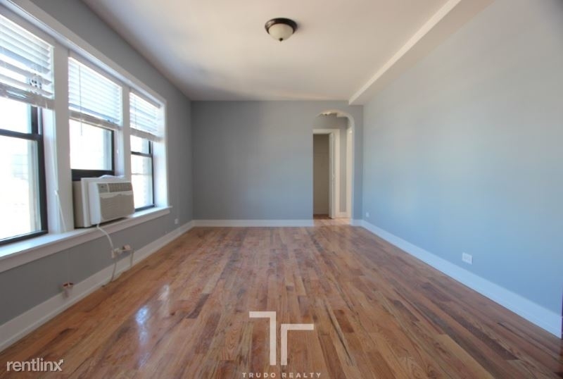 550 W Arlington Pl, Chicago Il - Photo 5