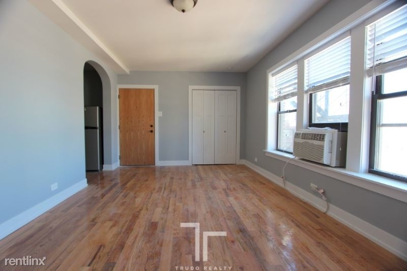 550 W Arlington Pl, Chicago Il - Photo 2