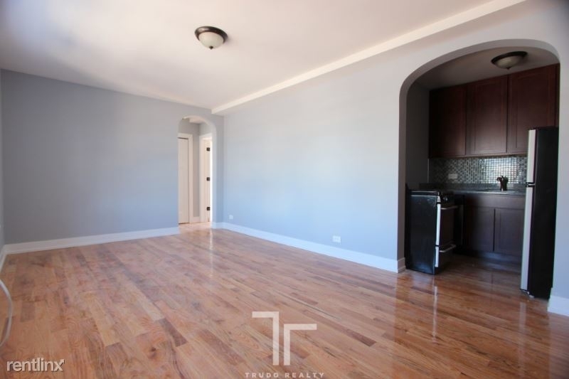 550 W Arlington Pl, Chicago Il - Photo 1