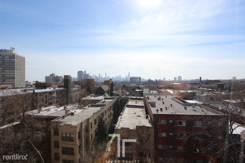 550 W Arlington Pl, Chicago Il - Photo 8