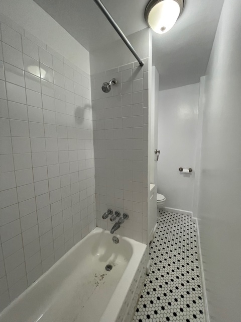 332 East 95th Street - Photo 6