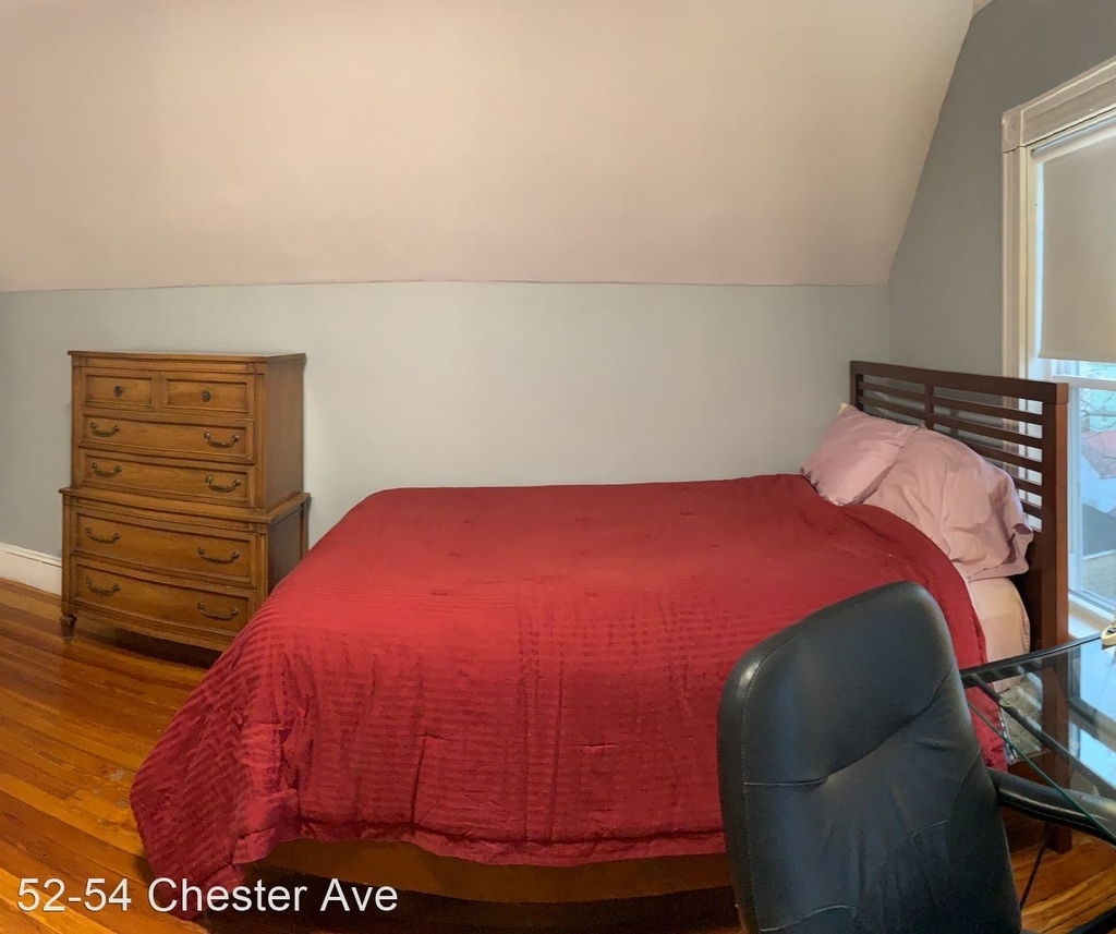 52-54 Chester Avenue - Photo 1