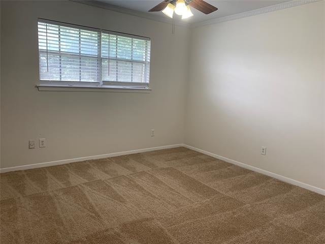 5818 E University Boulevard - Photo 5