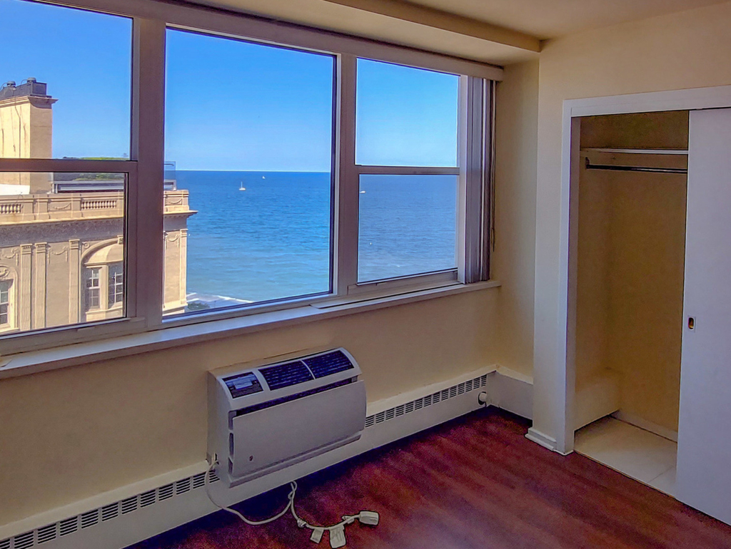 1150 North Lake Shore Drive - Photo 10