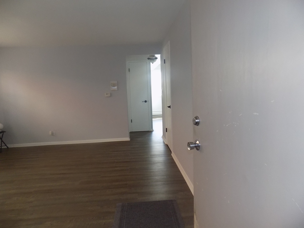 7321 West Fullerton Avenue - Photo 2