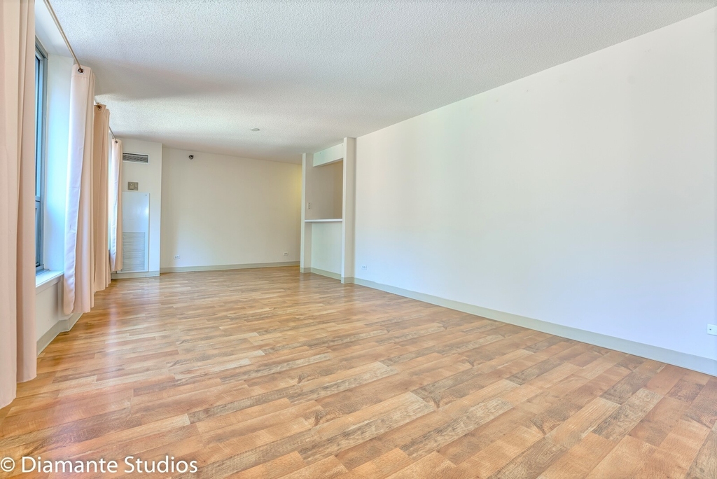 440 North Wabash Avenue - Photo 2