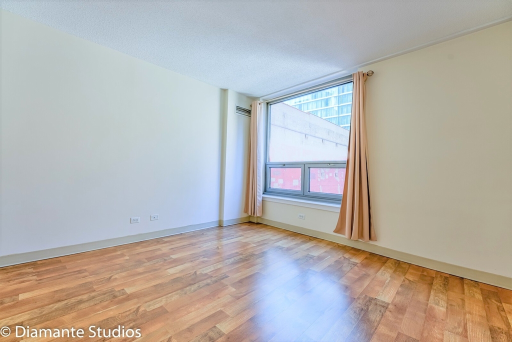 440 North Wabash Avenue - Photo 6