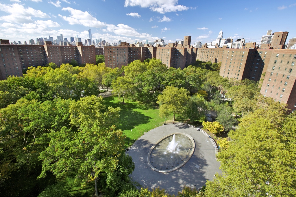 14 Stuyvesant Oval - Photo 8