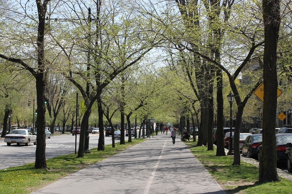 Eastern Parkway @ Bedford Ave (UA) - Photo 9