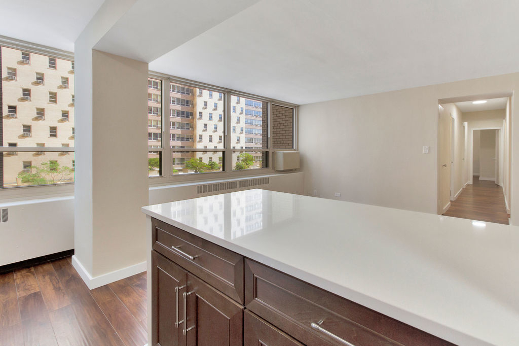 3950 North Lake Shore Drive - Photo 7