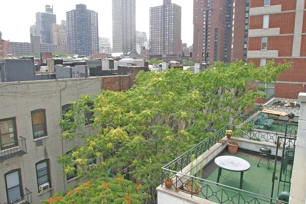 East 92nd Street - Photo 6