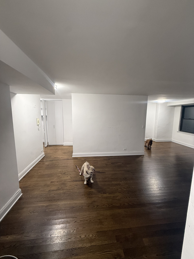 240 East 82nd Street - Photo 17