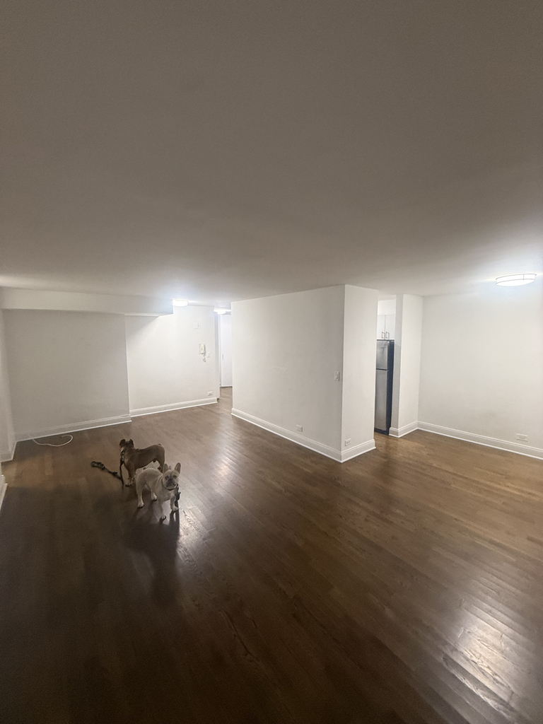 240 East 82nd Street - Photo 3