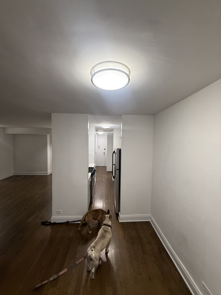 240 East 82nd Street - Photo 4