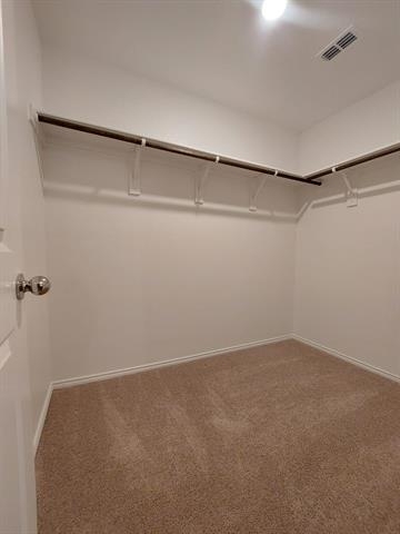 1112 Wildflower Street - Photo 6