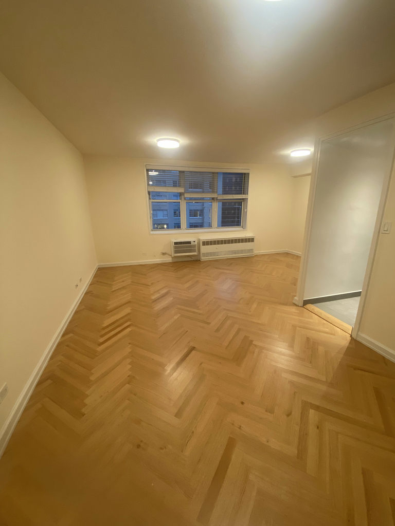 316 East 55th street - Photo 0