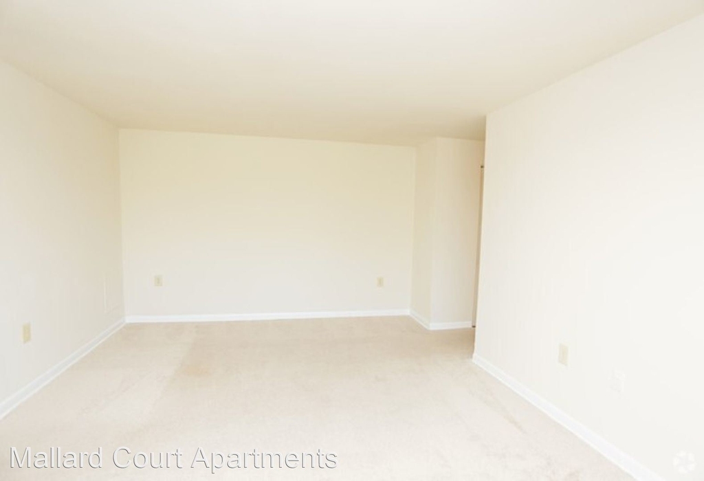 4511 Colony Ct Suite #1203-b - Photo 5