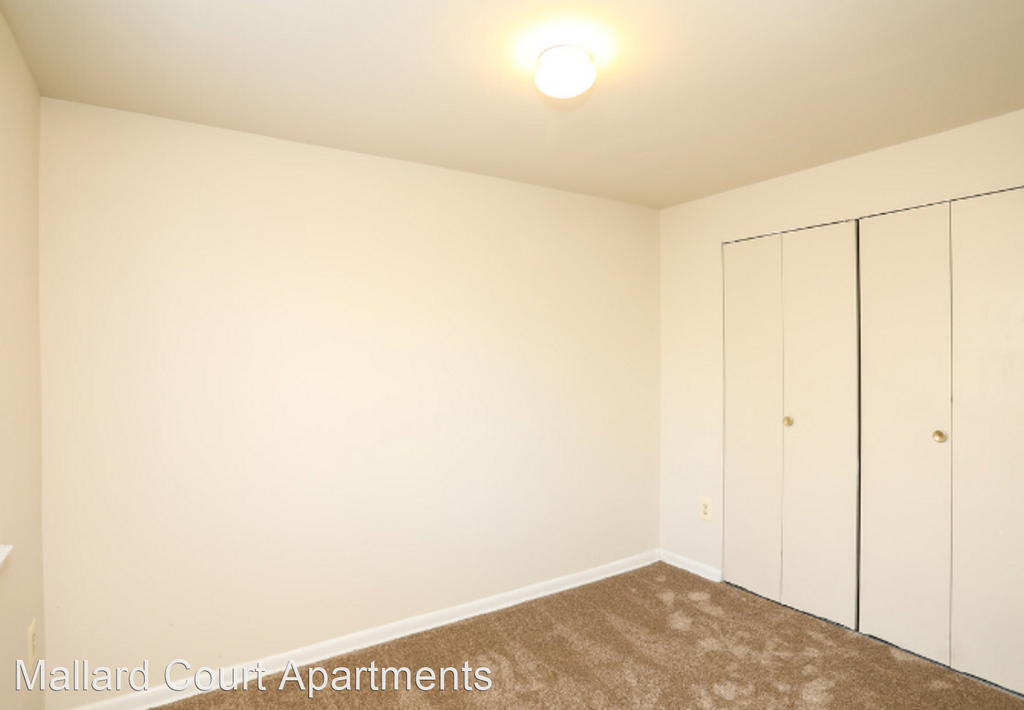 4511 Colony Ct Suite #1203-b - Photo 6