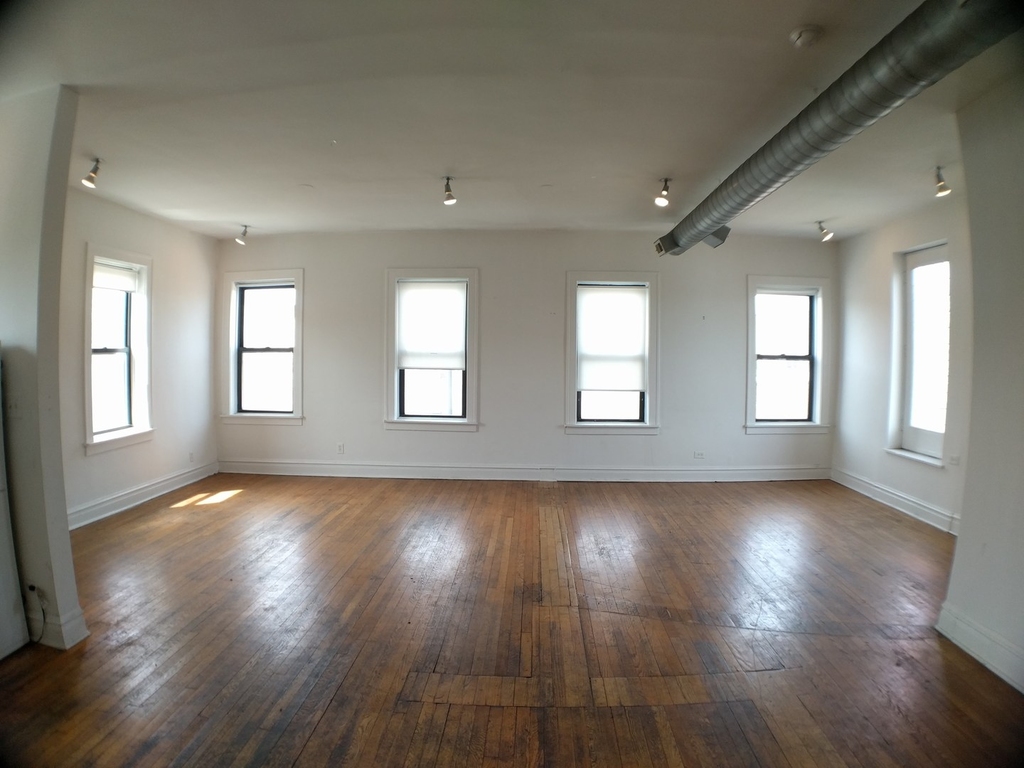 1721 South Halsted Street - Photo 1