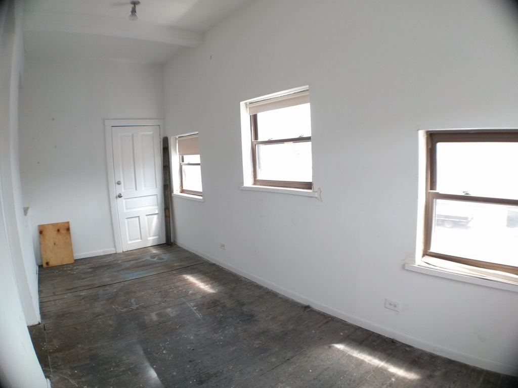 1721 South Halsted Street - Photo 13