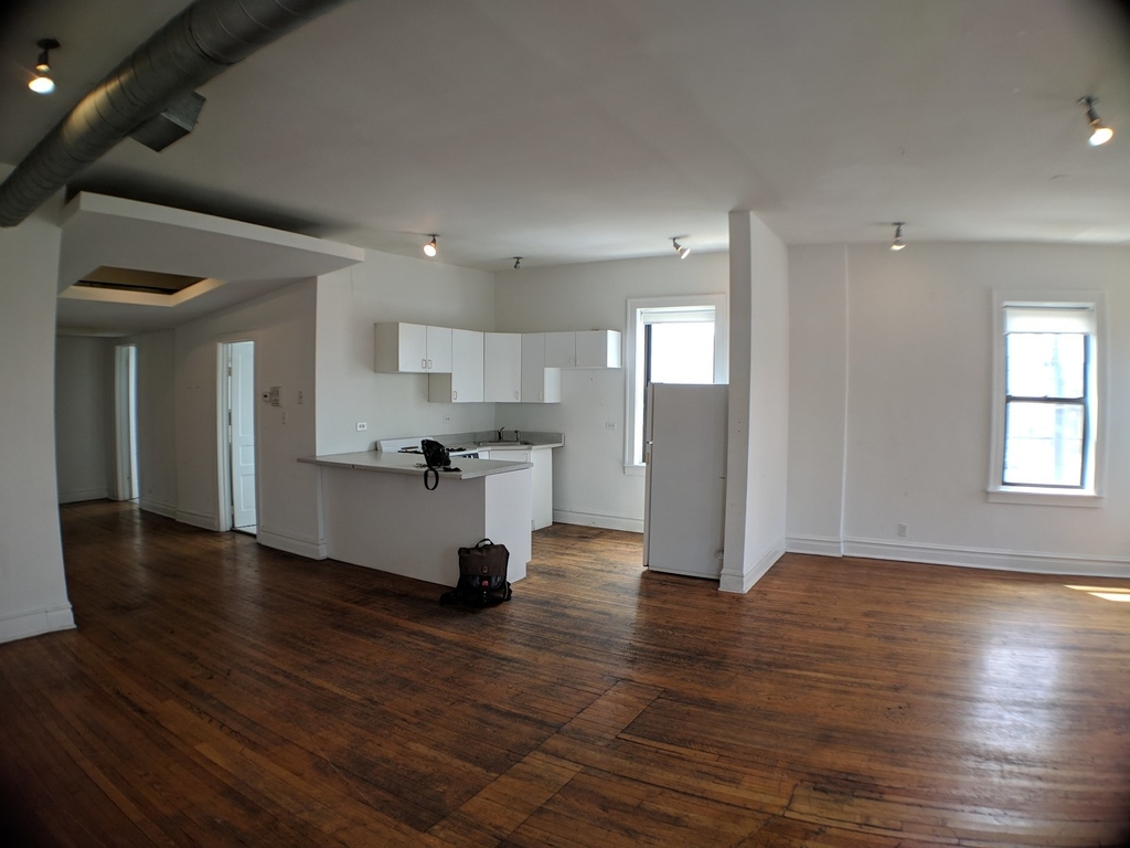 1721 South Halsted Street - Photo 2