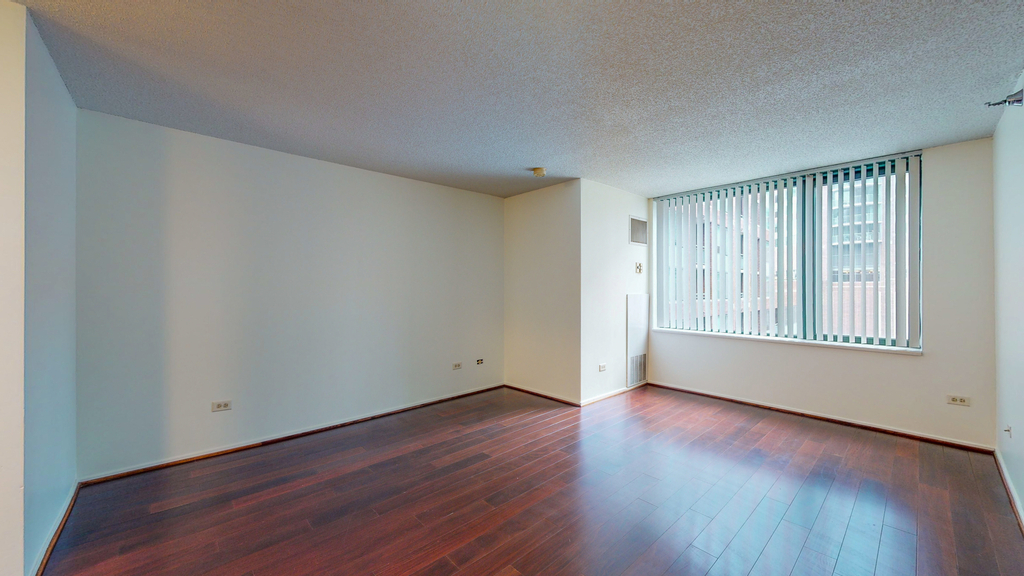 440 North Mcclurg Court - Photo 5